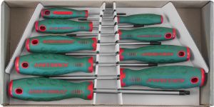 D71T109S